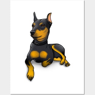 Proud Minature Pinscher (With Shadow) Posters and Art